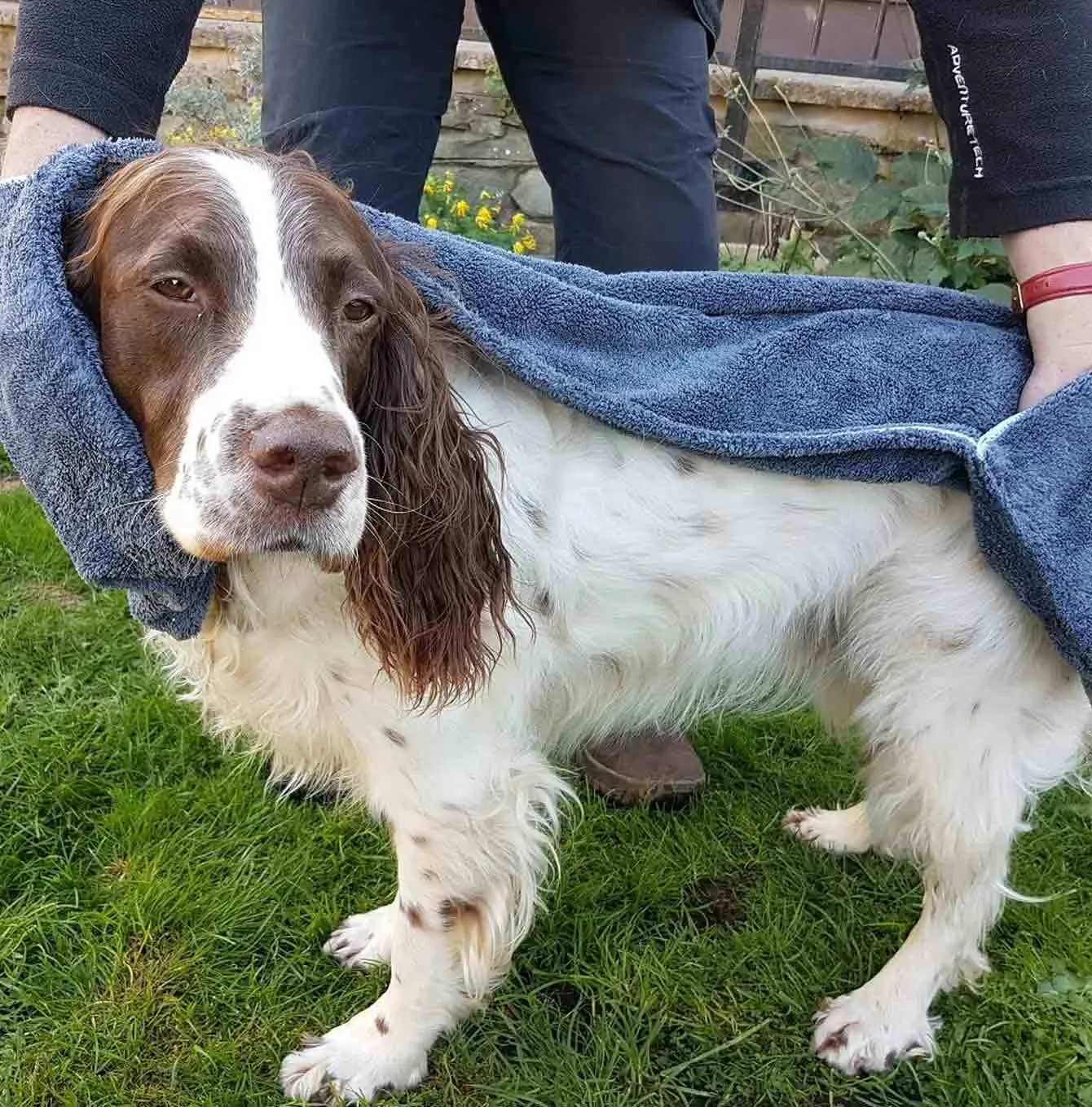 Henry Wag Glove Drying Towel