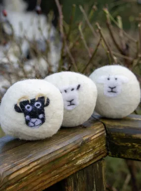 Little Beau Sheep x Glencroft Clapdale Wool Dryer Balls, Pack of 3